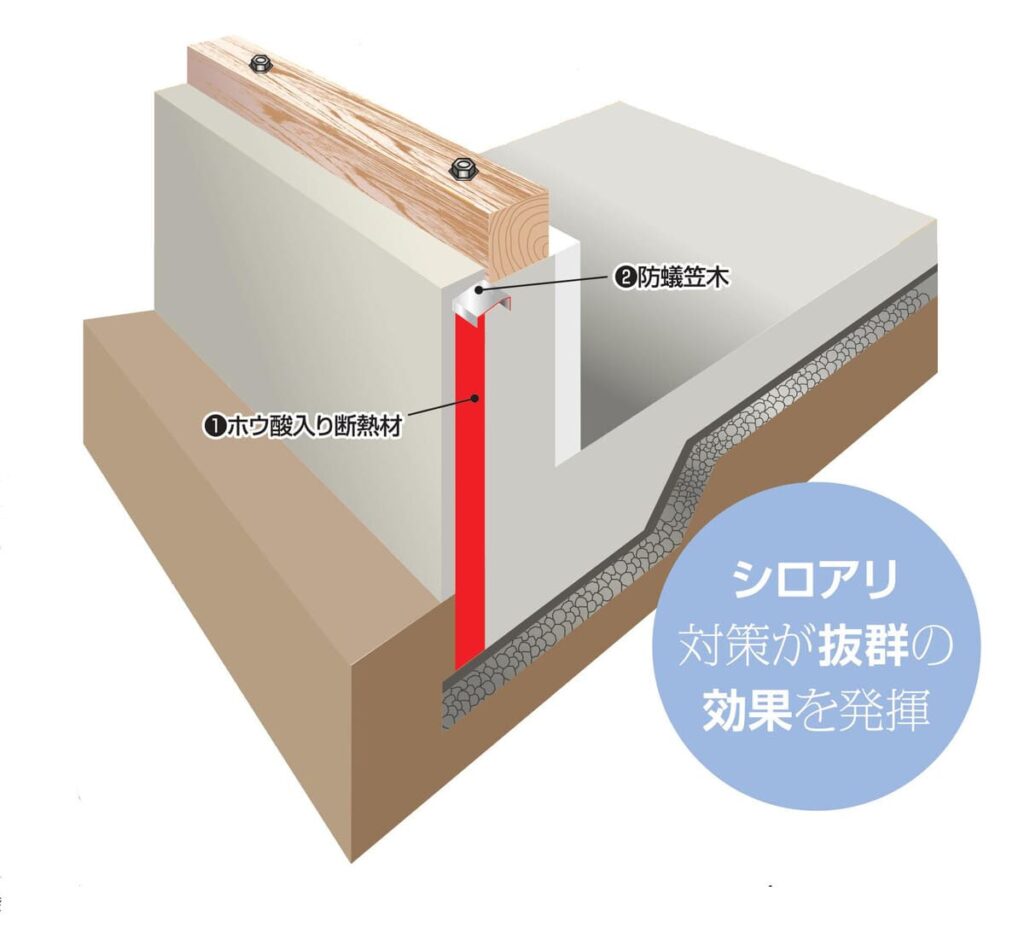 タイトモールド