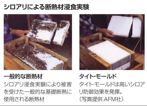 タイトモールド